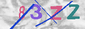 キャプチャ画像