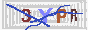 キャプチャ画像