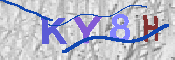 キャプチャ画像