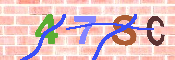 キャプチャ画像