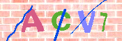 キャプチャ画像
