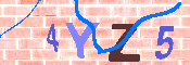 キャプチャ画像
