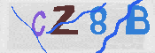 キャプチャ画像
