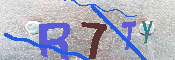 キャプチャ画像