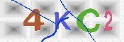 キャプチャ画像