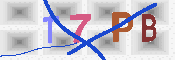 キャプチャ画像