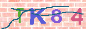 キャプチャ画像