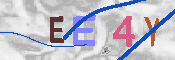 キャプチャ画像