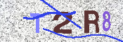 キャプチャ画像