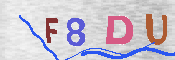 キャプチャ画像