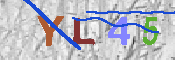 キャプチャ画像