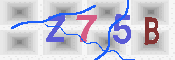 キャプチャ画像