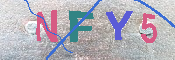 キャプチャ画像