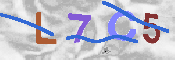 キャプチャ画像