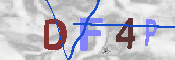 キャプチャ画像