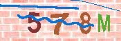 キャプチャ画像