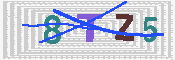 キャプチャ画像
