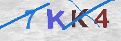 キャプチャ画像