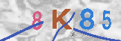 キャプチャ画像