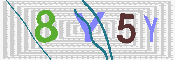 キャプチャ画像