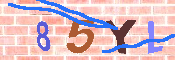キャプチャ画像