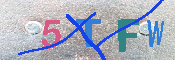 キャプチャ画像