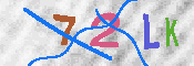 キャプチャ画像