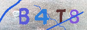 キャプチャ画像