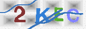 キャプチャ画像