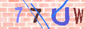 キャプチャ画像