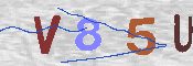 キャプチャ画像