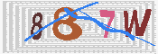 キャプチャ画像