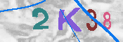 キャプチャ画像