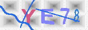 キャプチャ画像