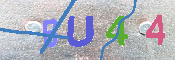 キャプチャ画像