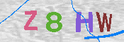 キャプチャ画像