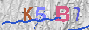 キャプチャ画像