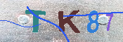 キャプチャ画像