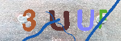 キャプチャ画像