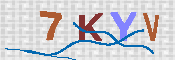 キャプチャ画像