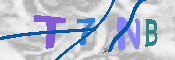 キャプチャ画像