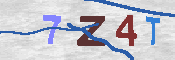 キャプチャ画像