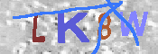キャプチャ画像