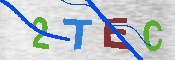 キャプチャ画像