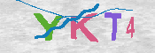 キャプチャ画像