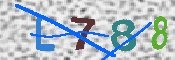 キャプチャ画像