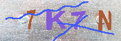 キャプチャ画像