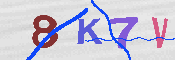 キャプチャ画像