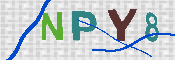 キャプチャ画像