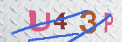 キャプチャ画像